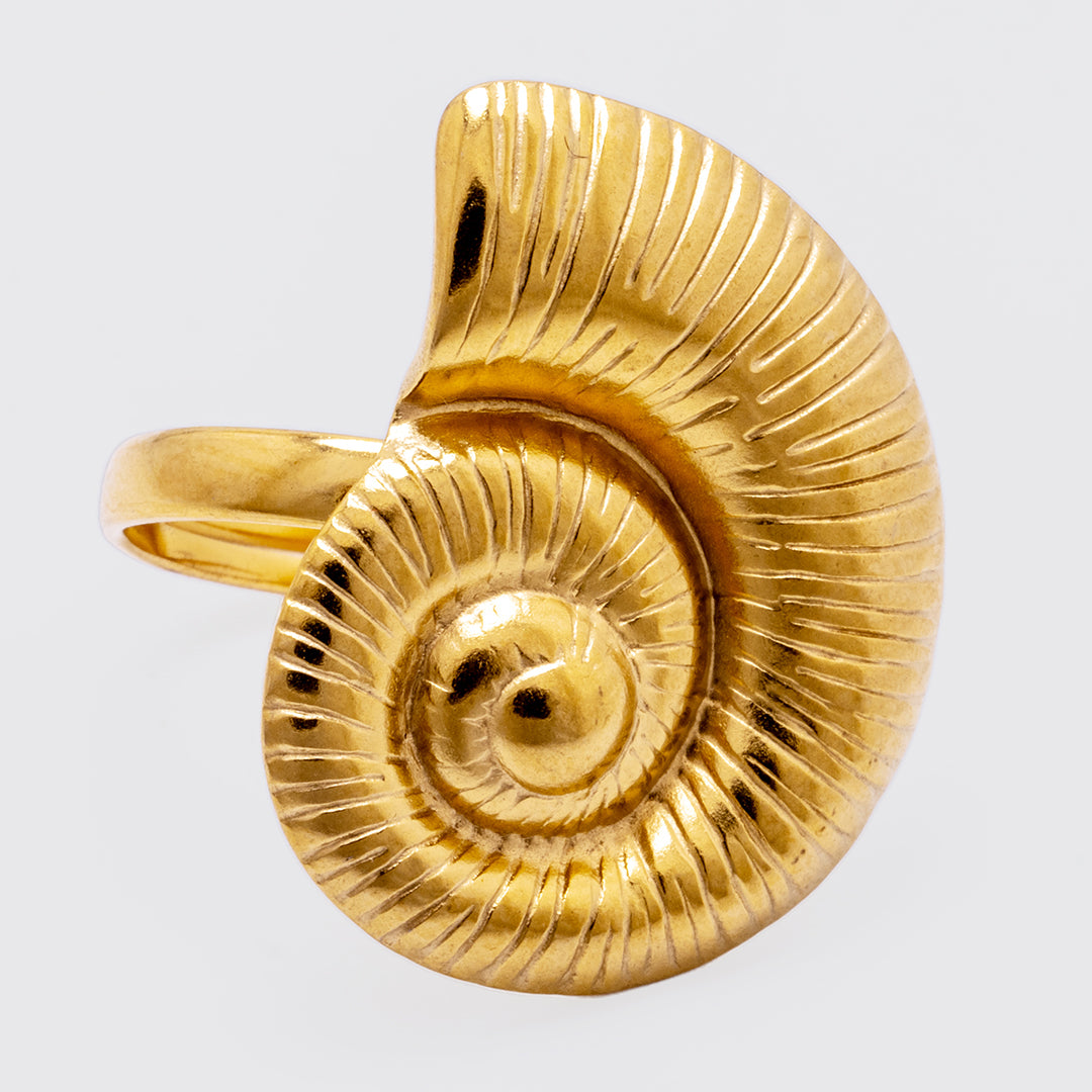 Swirl Drift Ring